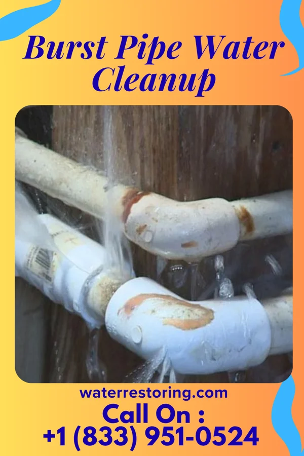 Burst Pipe Water Cleanup in Heritage Pines, FL