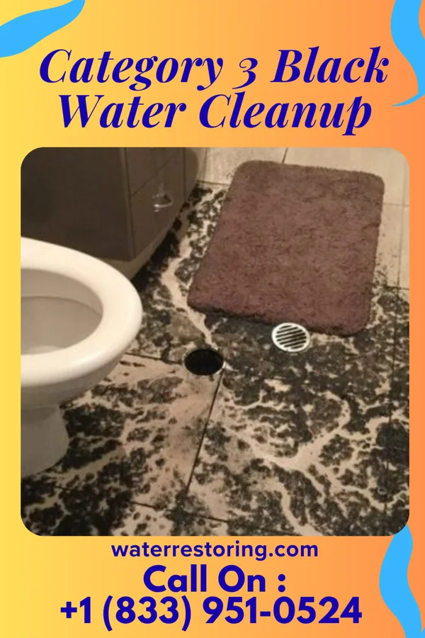 Category 3 Black Water Cleanup in Heritage Pines, FL